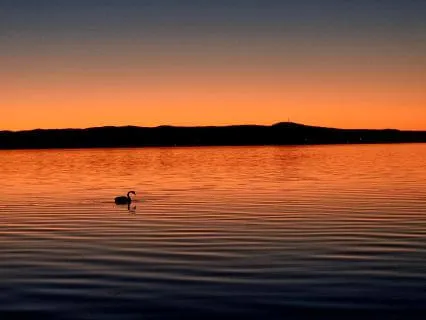 A Gentle Reset Meditation