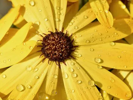 A Gentle Shower Of Positive Affirmations