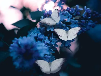 A Gentle Start To Facing The Hidden Things Keeping You From Enjoying Your Life To The Fullest