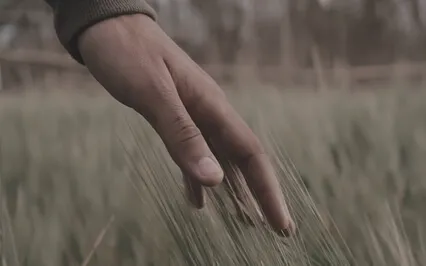 A Gentle Yes: Moving From Fear To Freedom