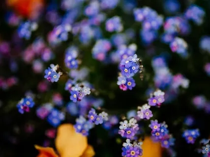 A Good Apology: 4 Steps To Make Things Right 