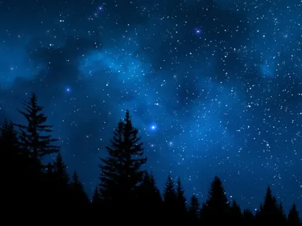 A Good Night's Sleep