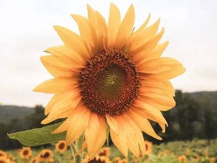 A Good Talking To... Part 1