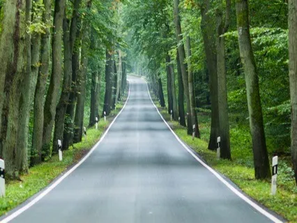 A Gratitude Practice For Your Commute Home