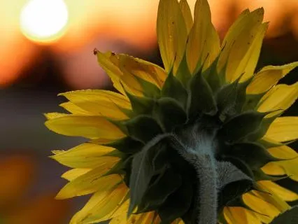 A Grounded 5-Point Check-In