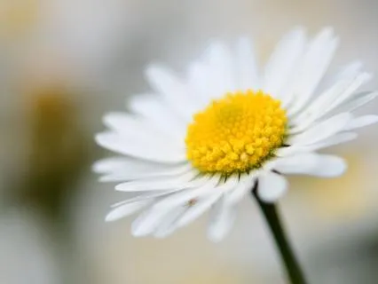 A Grounding 10 Minute Meditation With Goddess Hestia