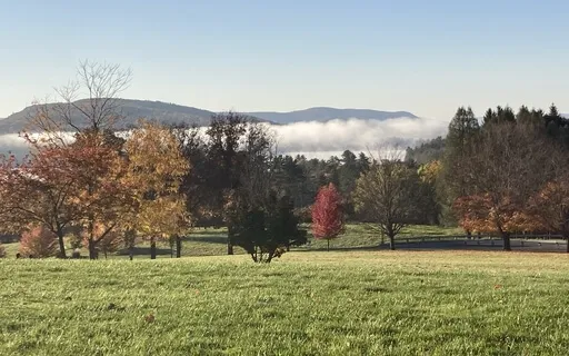 A Grounding Breath Meditation 