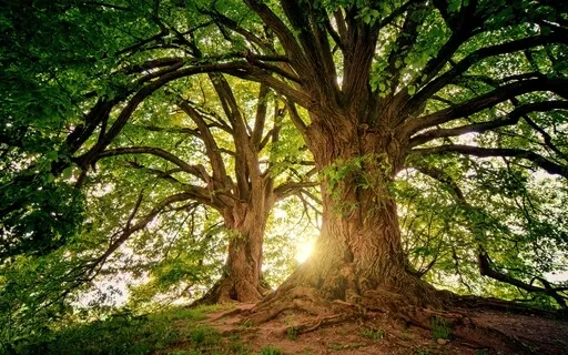 A Grounding Meditation For Deep Relaxation