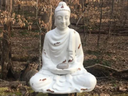 A Grounding Meditation for Negative Energy Release