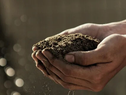 A Grounding Practice For When You Feel Scattered