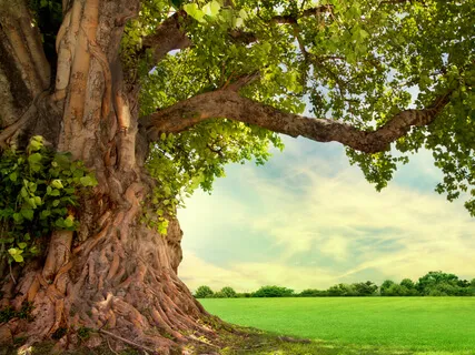 A Grounding Meditation To Start Your Day