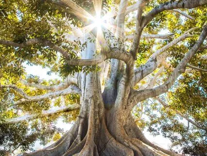 A Grounding Moment Of Mindfulness