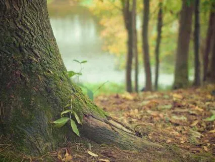 A Grounding Practice For Health Worry Spirals