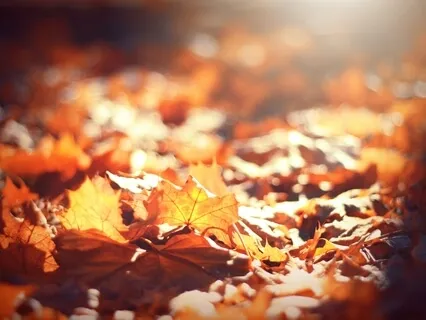 A Guide For Making Room For Grief In Work & Life