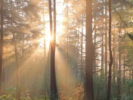 A Guide To Gently Let Go Of Anxiety And Panic