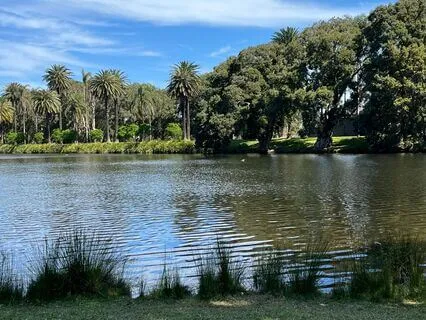 A Guide To Yoga Nidra - What Is It? What Can I Expect?