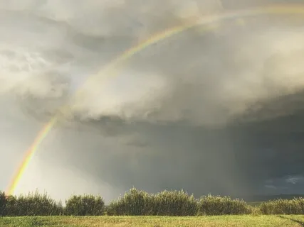 A Guided Declaration For The Spiritual Warriors Of The World