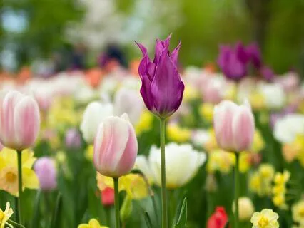 A Guided Exercise to Enhance Perspective Taking