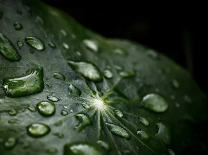 A Guided Exercises For Embracing All Parts Of Oneself