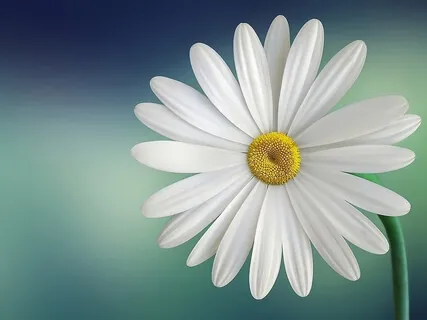 A Guided Healing Exercise For Self Connection & Acceptance