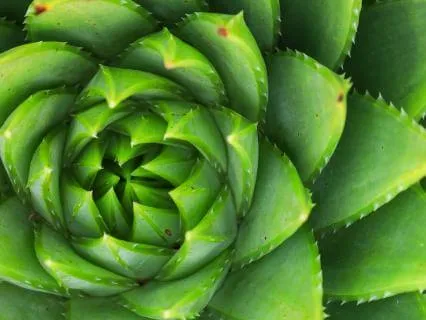 A Guided Introduction To Mindfulness Meditation