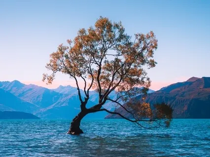 A Guided Journey Into Death & The Inbetween