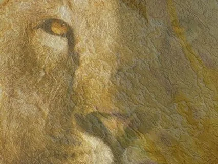 A Guided Journey Into The Temple Of Sekmet And Nefertum