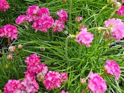 A Guided Journey Meditation For Re-Sourcing