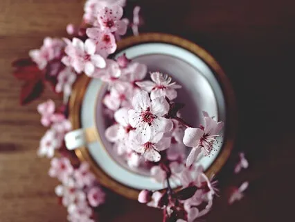 A Guided Light On Your Healing Journey