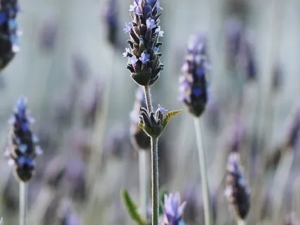 Connecting With Your Inner Child