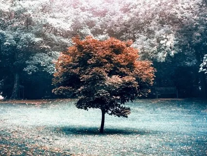 Reducing Tension & Enhancing Calm