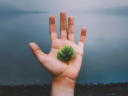 Reconnecting With Our Common Humanity