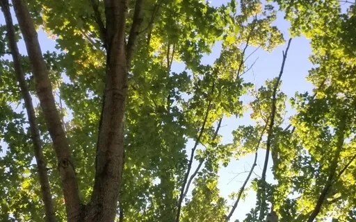 A Guided Meditation For Stress Release Through Chakra Energy