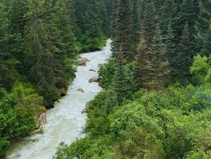 A Meditation For Writing Your Memories