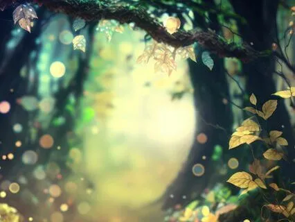 A Guided Meditation Journey Through A Sacred Forest