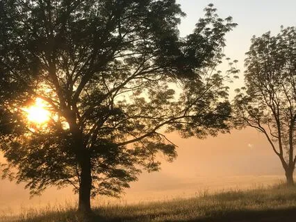 Listening To Music For Well-Being