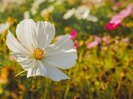 A Guided Meditation On Reframing Your Perception Of Failure