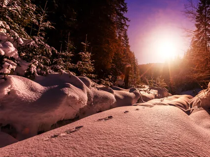 Connect With Your Higher Self + Beyond