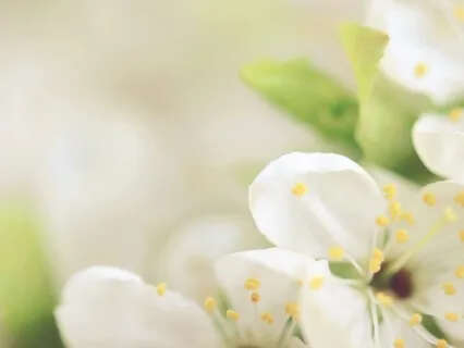 A Guided Meditation To Raise Our Vibration