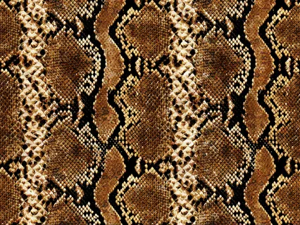 A Guided Exercise With Snake