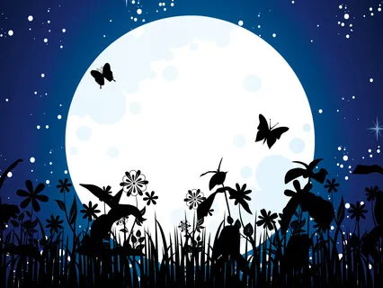 Guided Mindfulness Exercise On Impermanence