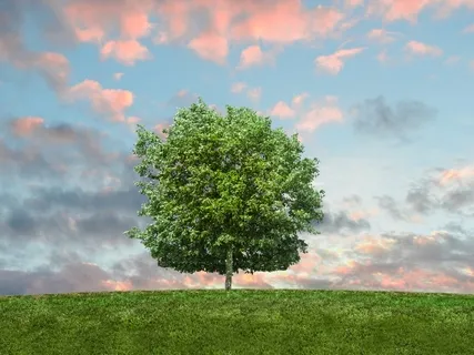 A Guided Morning Visualization For Grounding