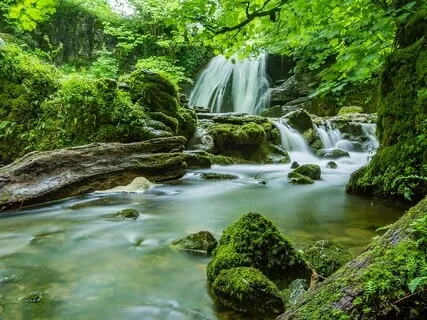 A Guided Simple Meditation