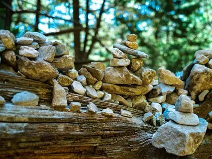 A Guided Soul Journey Meditation: Forest