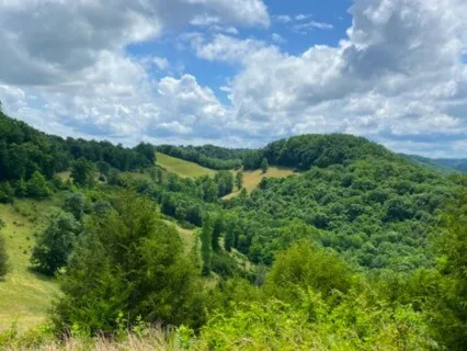 A Guided Visualization Practice For Body Awareness