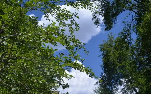 A Guided Yoga Nidra Meditation ~ You Are Love