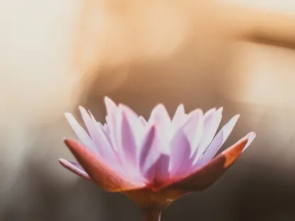 A Guiding Word To Hold On To