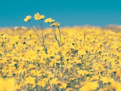 A Havening Guided Meditation For Embracing Gratitude