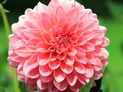 A Havening Guided Meditation To Reduce Health Anxiety