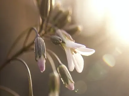 A Havening Meditation For Healing A Shame Hangover